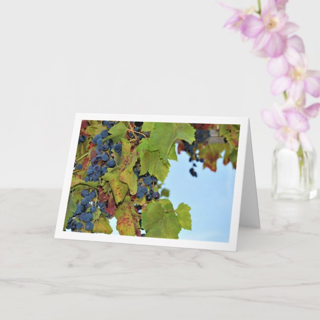 Carte Vin de raisin rouge dans le ciel bleu (Orchidée)