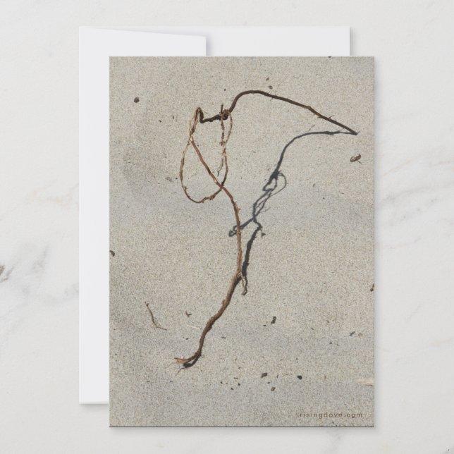 Carte Vin/Standing Rock, Plage de Cannon, Oregon (Devant)