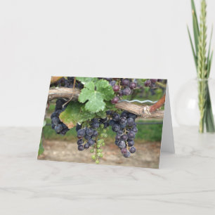 Carte Vin sur la vigne