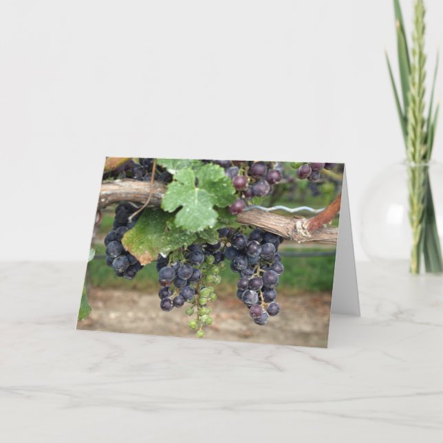 Carte Vin sur la vigne (Devant)