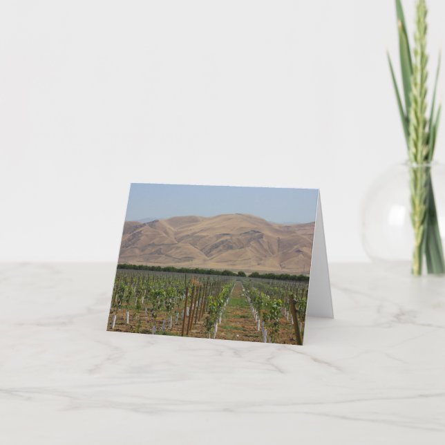 Carte Vineyard Notecard (Devant)