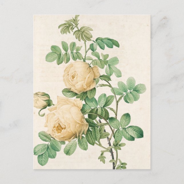 Carte vintage (Devant)