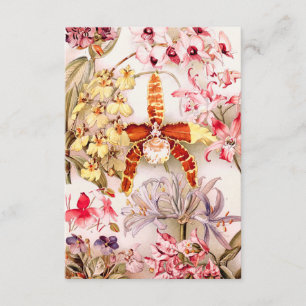 Carte Vintage 1911 Orchidée rose Fleur Vieux Illustratio