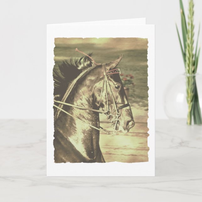 Carte Vintage américain Saddlebred Faux (Devant)