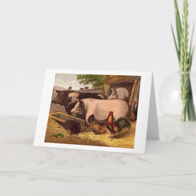 Carte Vintage - Barnyard Friends, (Devant)