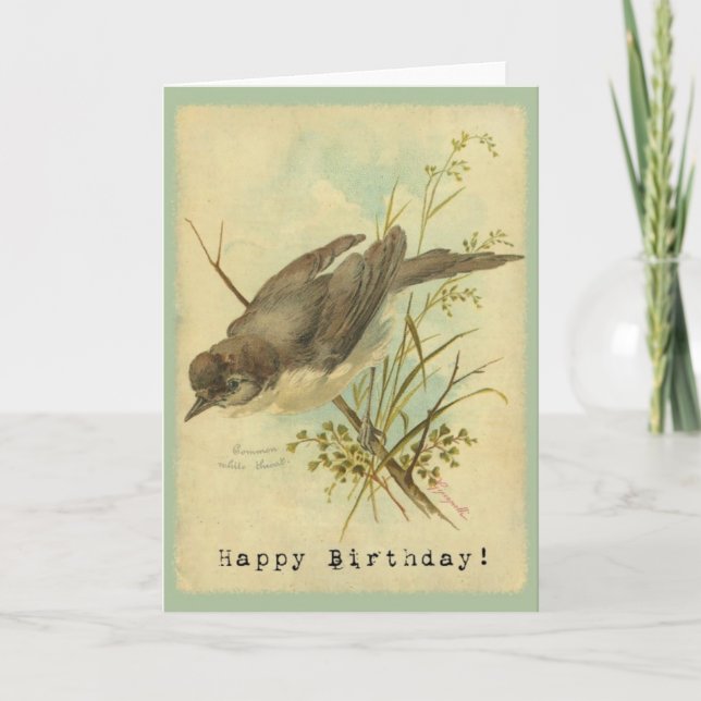 Carte Vintage Bird, Anniversaire (Devant)