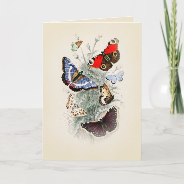 Carte Vintage Butterfly Boho Chic (Devant)
