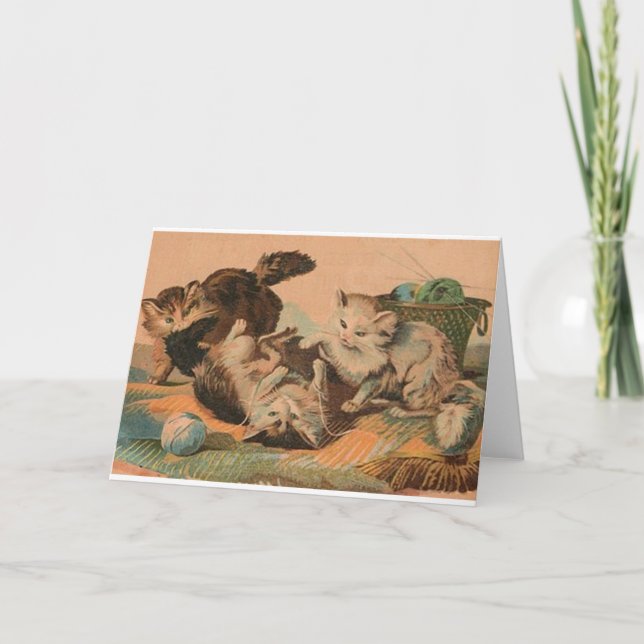 Carte Vintage Cat Frolic Note (Devant)