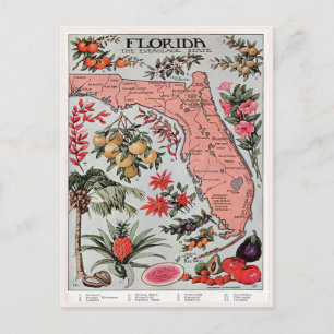 Carte vintage de Floride, Everglade State Travel