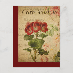 Carte vintage de la Poste française Pelargonium