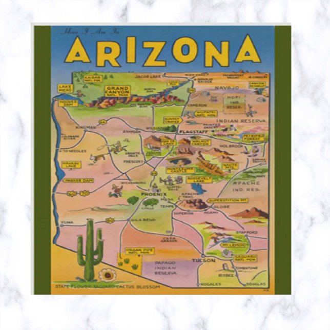 Carte vintage de l'Arizona et cactus (Créateur téléchargé)