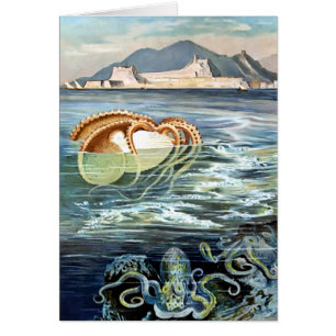 Carte vintage de poulpe et de calmar
