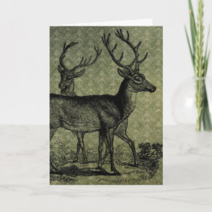 Carte Vintage Deer