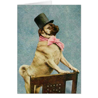 Carte vintage d'entrevue de chien de Carlin