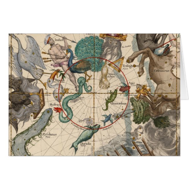 Carte vintage du Pôle du sud (Devant horizontal)