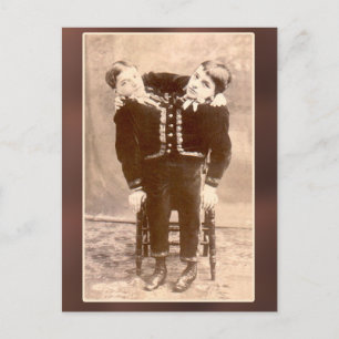 Carte Vintage et cartes postales jumelles