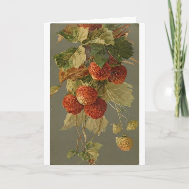 Carte Vintage - Fraises sur la vigne, (Devant)