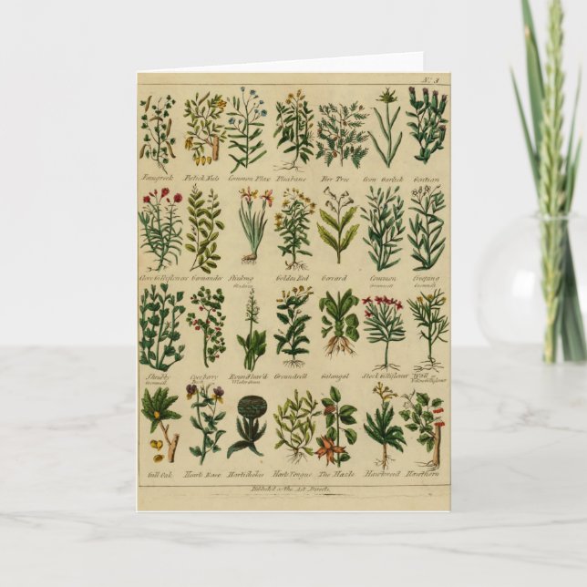 Carte Vintage Herbal Greeting Card Series (Devant)