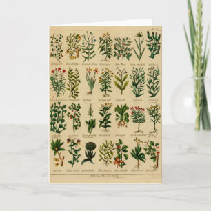 Carte Vintage Herbal Greeting Card Series