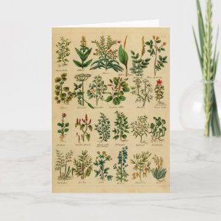Carte Vintage Herbal Greeting Card Series