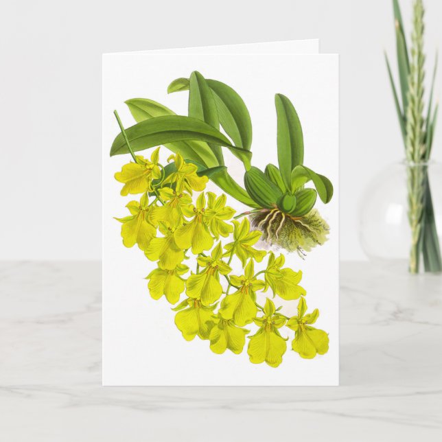 Carte vintage jaune orchidée noire (Devant)