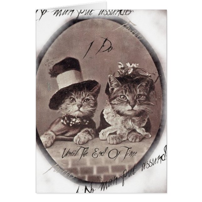 Carte vintage Love Cats (Devant)