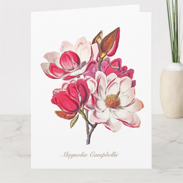 Carte Vintage Magnolia rose Fleurs blanches (Devant)