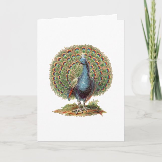 Carte Vintage Peacock...carte pour notes (Devant)