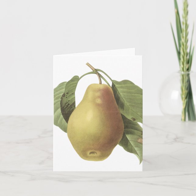 Carte Vintage Pear (Devant)