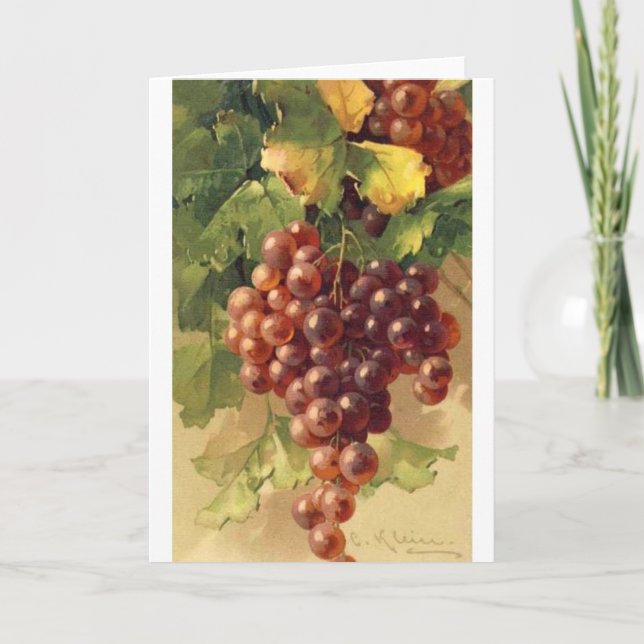 Carte Vintage - raisins sur la vigne, (Devant)