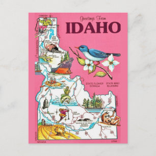 Carte vintage rose de l'Idaho Carte postale