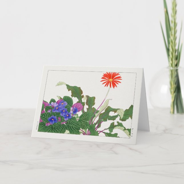 Carte Violet africain, Gerbera par Tanigami Konan (Devant)