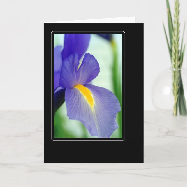 Carte violet iris (Devant)