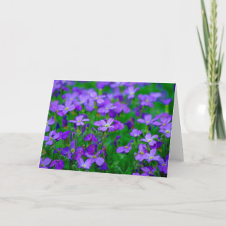 Carte violette de fleurs