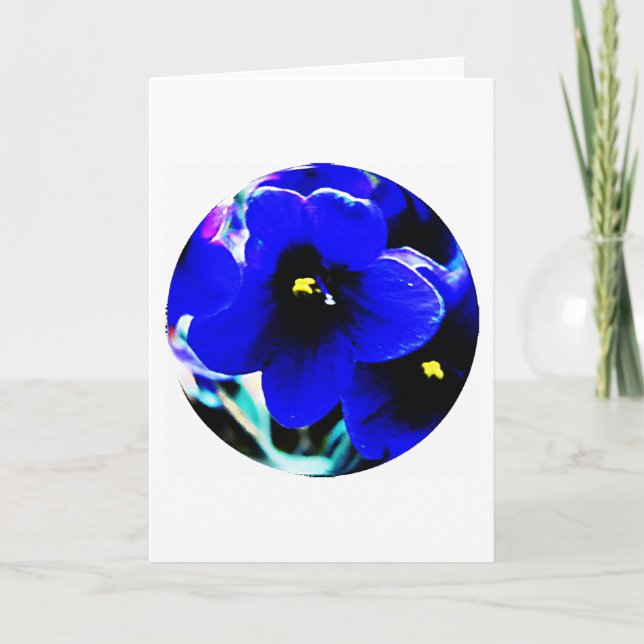 Carte Violettes africaines (Devant)