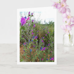 Carte Vipérine pourpre, Echium Plant