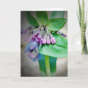 Carte Virginina Bluebells