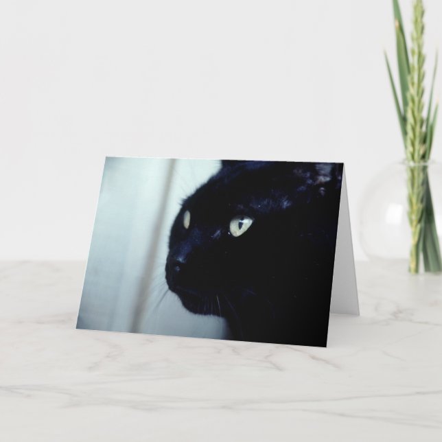 Carte Visage de chat noir (Devant)