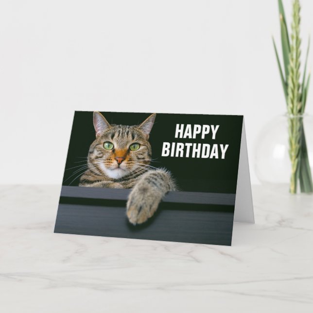 Carte Visage de chat tigré gris | Joyeux Anniversaire (Devant)