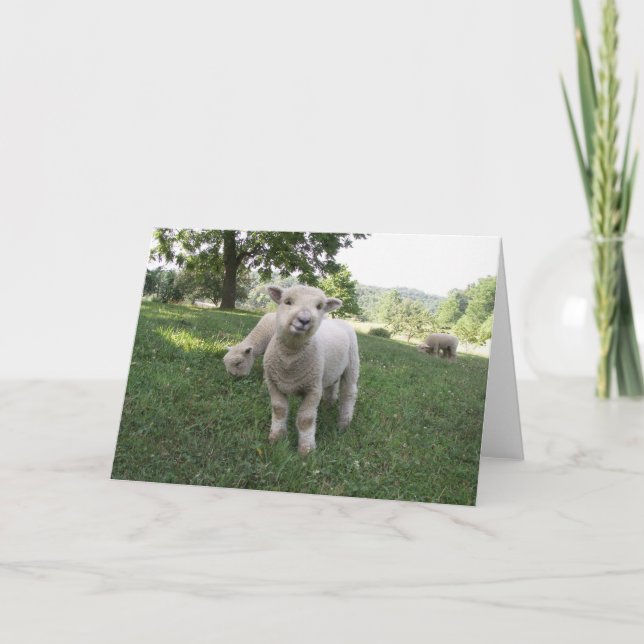 Carte Visage drôle (Devant)