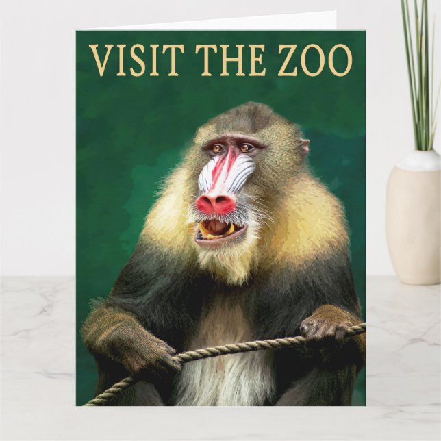 Carte Visitez le mandrill au zoo (Devant)