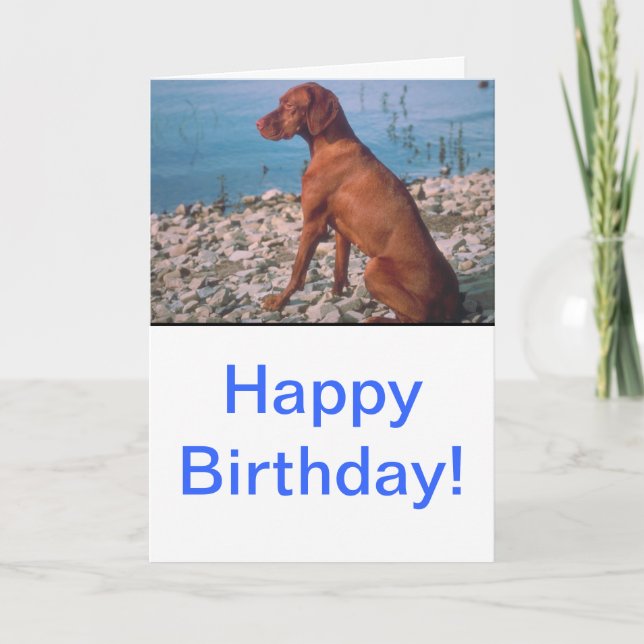 Carte Vizsla (Devant)