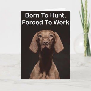 Carte Vizsla Né Pour Travailler