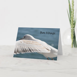 Carte voeu de seagull