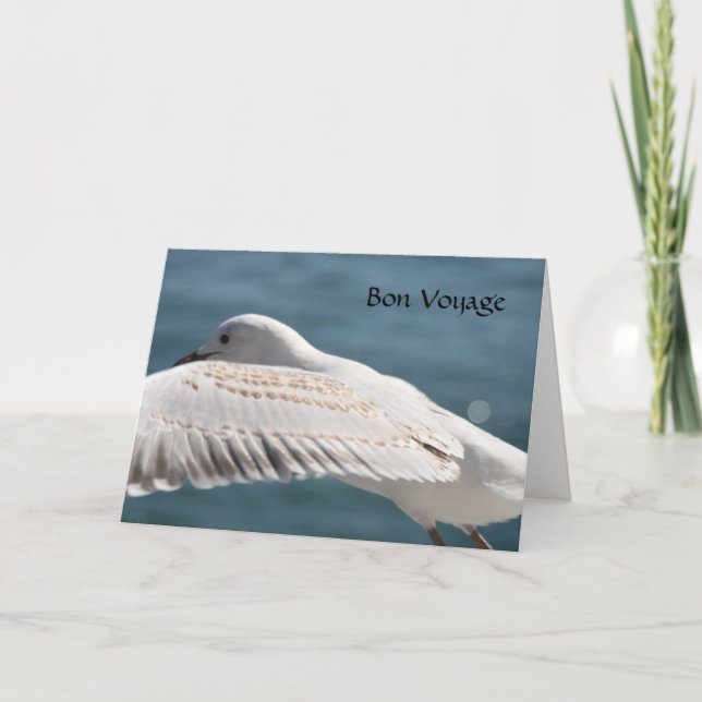 Carte voeu de seagull (Devant)