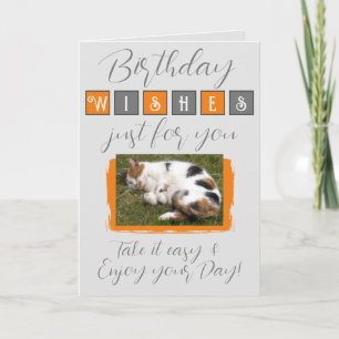 Carte voeux d'anniversaire ajouter chat photo gris orang