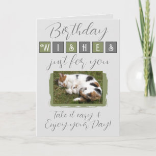 Carte voeux d'anniversaire ajouter chat photo gris vert