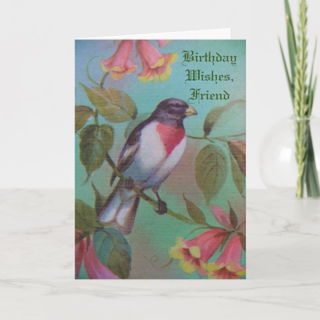 Carte Voeux d'anniversaire, Ami, joli oiseau. (Devant)