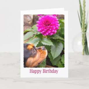 Carte Voeux D'Anniversaire Avec Dahlia Et Chien Espagnol