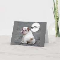 ***VOEUX D'ANNIVERSAIRE DE BULLDOG***